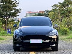 Tesla Model Y Standard Range RWD - ფოტო 2