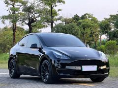 Tesla Model Y Standard Range RWD - ფოტო 3