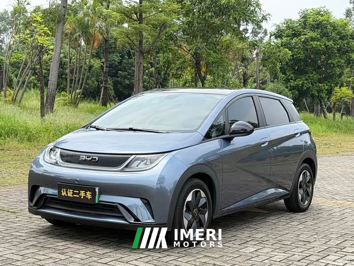 BYD Dolphin Glory Edition 420km Fashion Version