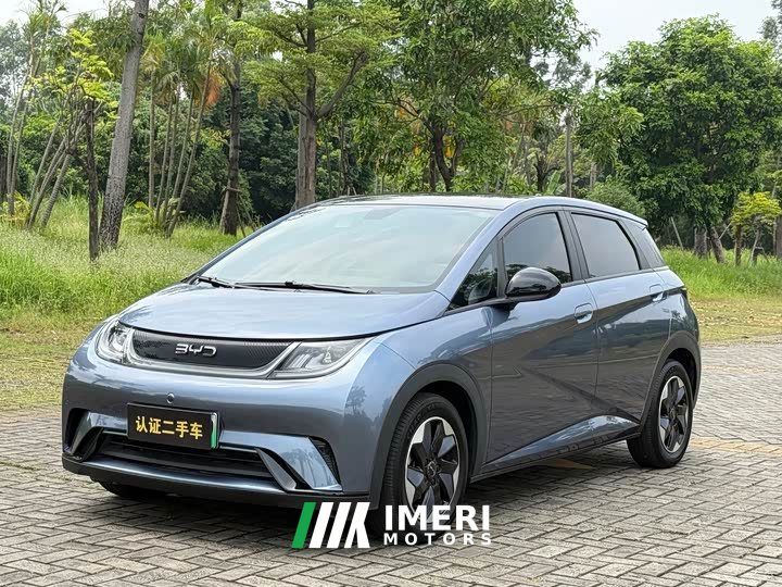 BYD Dolphin Glory Edition 420km Fashion Version - ავტომობილი ჩინეთიდან