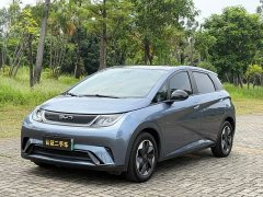 BYD Dolphin Glory Edition 420km Fashion Version - ფოტო 1