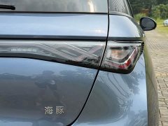 BYD Dolphin Glory Edition 420km Fashion Version - ფოტო 14