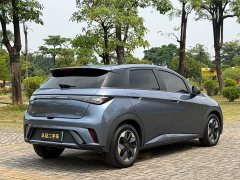 BYD Dolphin Glory Edition 420km Fashion Version - ფოტო 15