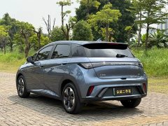 BYD Dolphin Glory Edition 420km Fashion Version - ფოტო 17