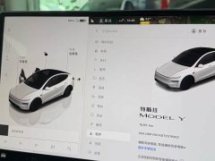 Tesla Model Y Rear-Wheel Drive - ფოტო 11