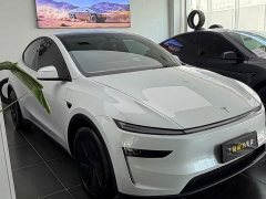 Tesla Model Y Rear-Wheel Drive - ფოტო 3