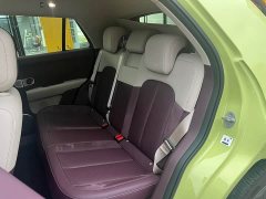 Nio Firefly Luminous Edition - ფოტო 9