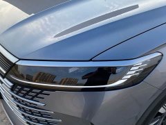 BYD Haima Sealion 05 DM-i 115KM Prestige Edition - ფოტო 18