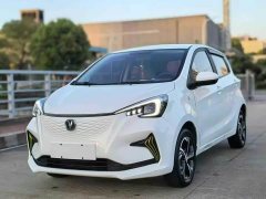 Changan Benben E-Star National Edition Xinyue Edition (Fast Charging Edition) Ternary Lithium - ფოტო 1