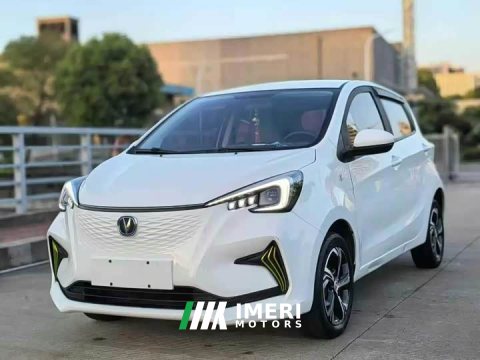 2021 Changan Benben E-Star National Edition Xinyue Edition (Fast Charging Edition) Ternary Lithium - ავტომობილი ჩინეთიდან