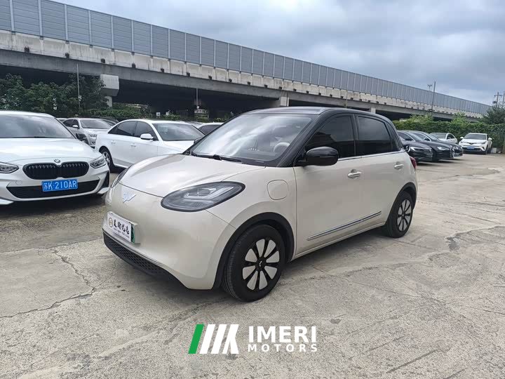 Wuling Binguo 333km Joy Edition