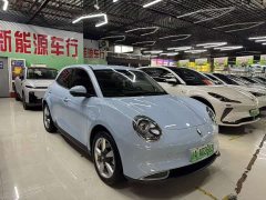 ORA Good Cat 400km Standard Range Venus Edition Ternary Lithium Battery - ფოტო 3