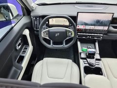 Jetour Jietu Shanhai T1 150km Xianghai - ფოტო 14