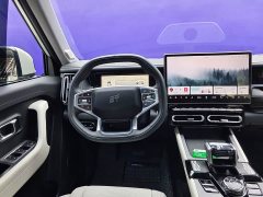 Jetour Jietu Shanhai T1 150km Xianghai - ფოტო 15