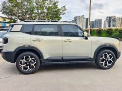 Jetour Jietu Shanhai T1 150km Xianghai - ფოტო 8