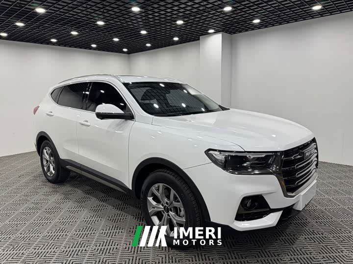 Haval H6 2021 National Trend 1.5T Automatic Champion Edition - ავტომობილი ჩინეთიდან