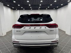 Haval H6 2021 National Trend 1.5T Automatic Champion Edition - ფოტო 8