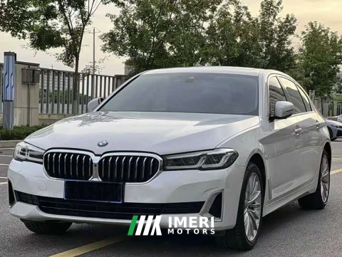 2021 BMW 5 Series 530Li Luxury Edition Premium Package - ავტომობილი ჩინეთიდან
