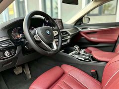 BMW 5 Series 530Li Luxury Edition Premium Package - ფოტო 6