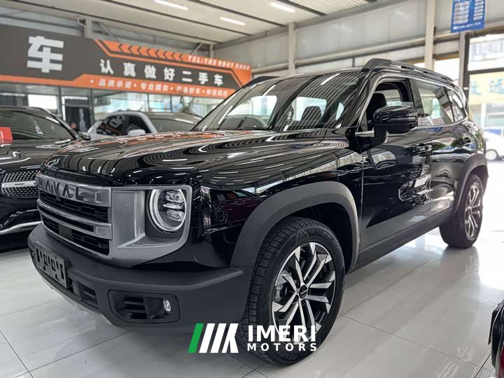 Great Wall Dachshund 2024 1.5T DCT Labrador Edition - ავტომობილი ჩინეთიდან