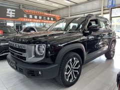 Great Wall Dachshund 2024 1.5T DCT Labrador Edition - ფოტო 1