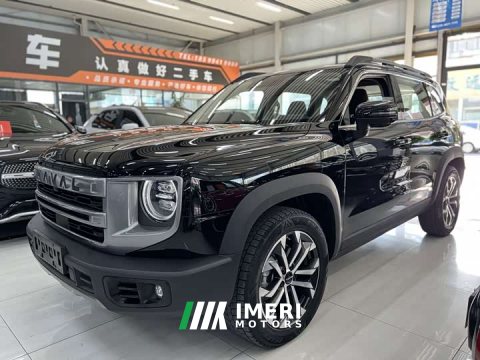 2025 Great Wall Dachshund 2024 1.5T DCT Labrador Edition - ავტომობილი ჩინეთიდან
