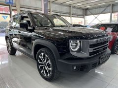 Great Wall Dachshund 2024 1.5T DCT Labrador Edition - ფოტო 3