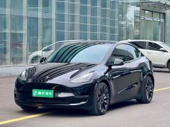 Tesla Model Y Performance All-Wheel Drive - ფოტო 1