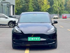 Tesla Model Y Performance All-Wheel Drive - ფოტო 2