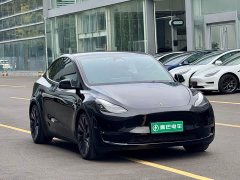Tesla Model Y Performance All-Wheel Drive - ფოტო 3