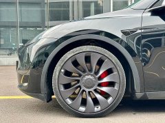 Tesla Model Y Performance All-Wheel Drive - ფოტო 4