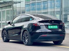 Tesla Model Y Performance All-Wheel Drive - ფოტო 6