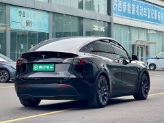 Tesla Model Y Performance All-Wheel Drive - ფოტო 8