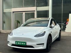 Tesla Model Y Long Range All-Wheel Drive - ფოტო 1