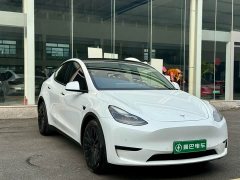 Tesla Model Y Long Range All-Wheel Drive - ფოტო 2