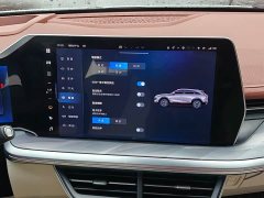 Haval Divine Beast 1.5T Smart Enjoy Edition - ფოტო 15