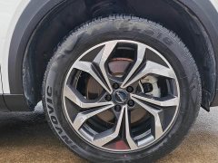 Haval Divine Beast 1.5T Smart Enjoy Edition - ფოტო 16