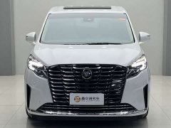 Buick GL8 ES Luxe Enjoyment Edition - ფოტო 1
