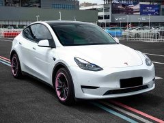 Tesla Model Y Rear-Wheel Drive - фото 3