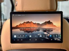Denza D9 2022 DM-i 970 AWD Flagship - photo 11