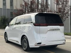 Denza D9 2022 DM-i 970 AWD Flagship - photo 15