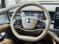 Denza D9 2022 DM-i 970 AWD Flagship - photo 8