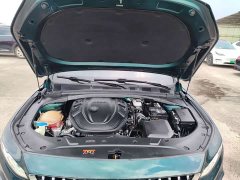 Geely Xingrui 2.0T Diesel Exclusive Cyan Green Edition - ფოტო 18
