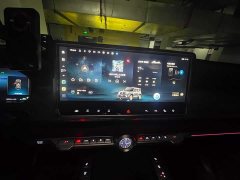 Tank 700 Hi4-T Edition One 2024 - фото 10