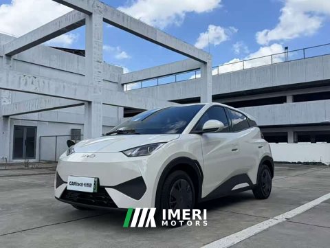 2025 BYD Seagull Smart Drive 305km Vitality Edition - ავტომობილი ჩინეთიდან