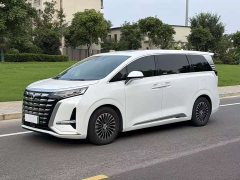 Denza BYD Denza D9 DM-i 970 Luxury - photo 1