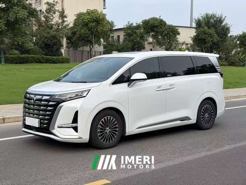 2024 Denza BYD Denza D9 DM-i 970 Luxury - ავტომობილი ჩინეთიდან