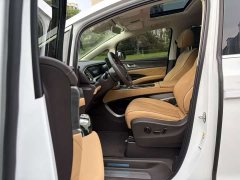 Denza BYD Denza D9 DM-i 970 Luxury - photo 11
