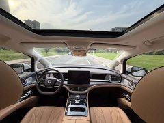 Denza BYD Denza D9 DM-i 970 Luxury - photo 13