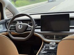 Denza BYD Denza D9 DM-i 970 Luxury - photo 14